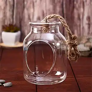 В Новосибирске участковый поймал домового и посадил в банку