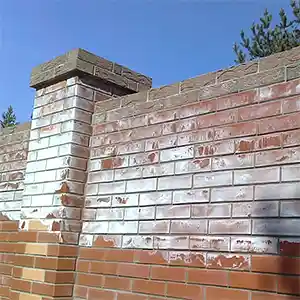 ОПРОС: высолы на кирпичной стене