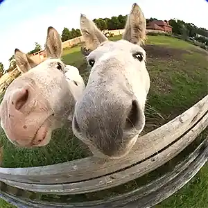 Ответы на вопрос: 10 соток это много или мало?