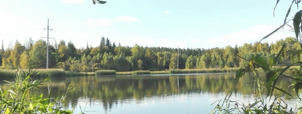 Кисловка
