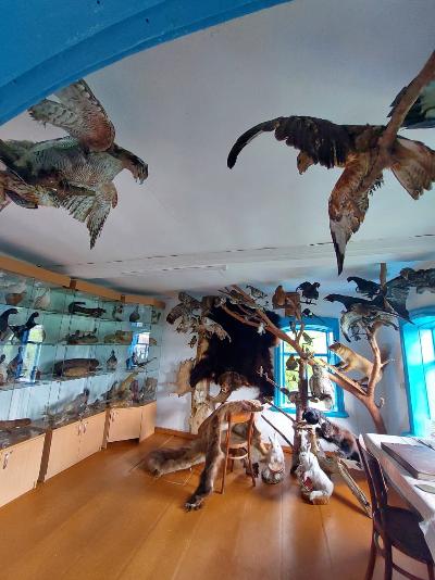 Первый такседермический музей «Дом охотника» открылся в д.Губино