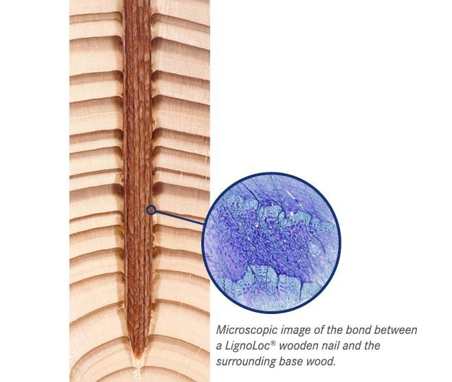 Изображение связи между деревянным гвоздем и основанием.