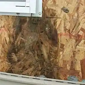 Как удалить плесень из осб листов?