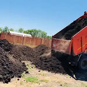 Зачем: завозить чернозем на участок, замена грунта и проч. дичь