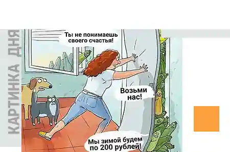 дом
